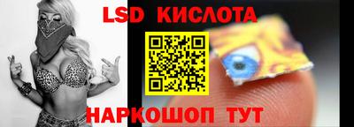Альфа ПВП Кандалакша