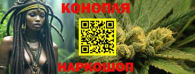 Альфа ПВП Кандалакша