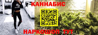 Альфа ПВП Кандалакша
