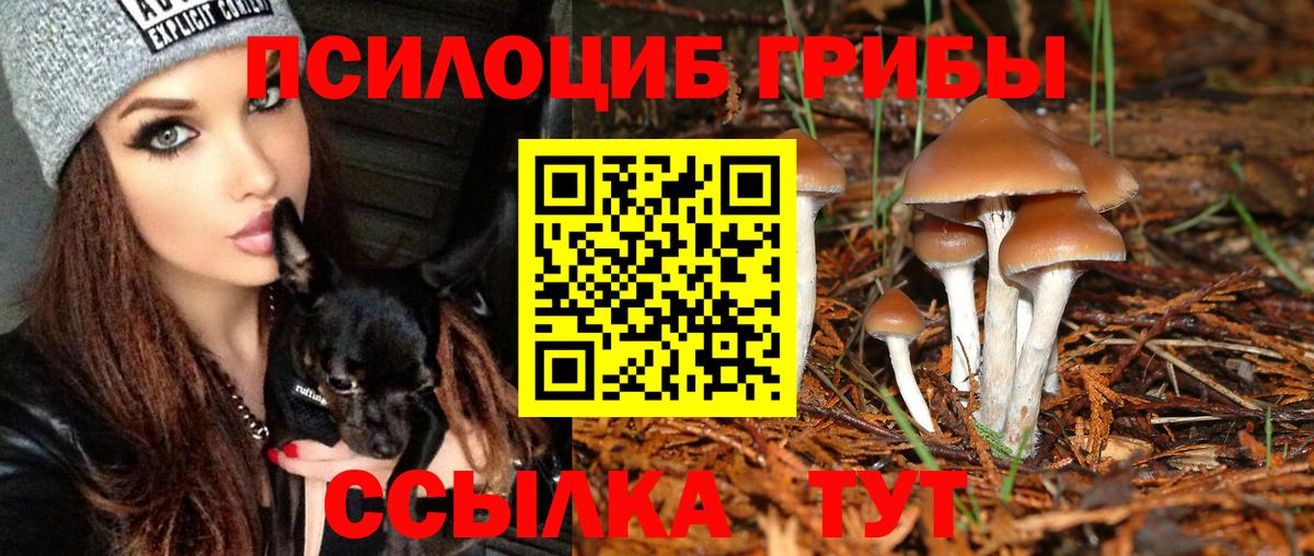 Галлюциногенные грибы Cubensis Комсомольск-на-Амуре
