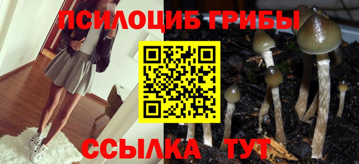 Комсомольск-на-Амуре  Псилоцибиновые грибы мицелий  Вход с VPN 